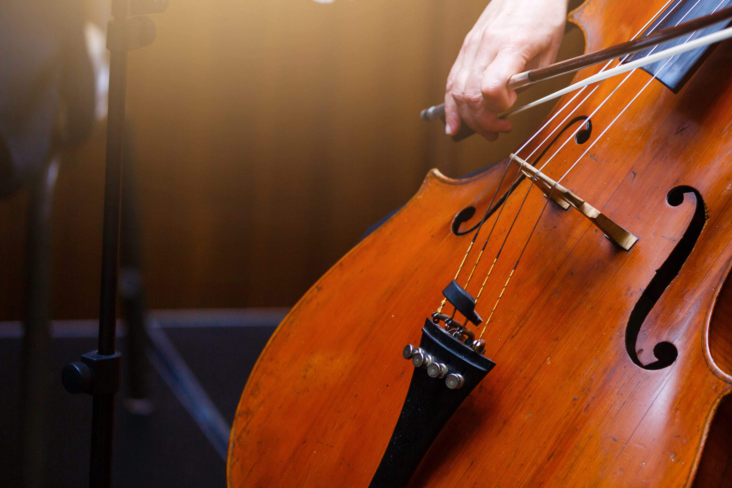 Cellissimo Galway, Cello festival in Galway City