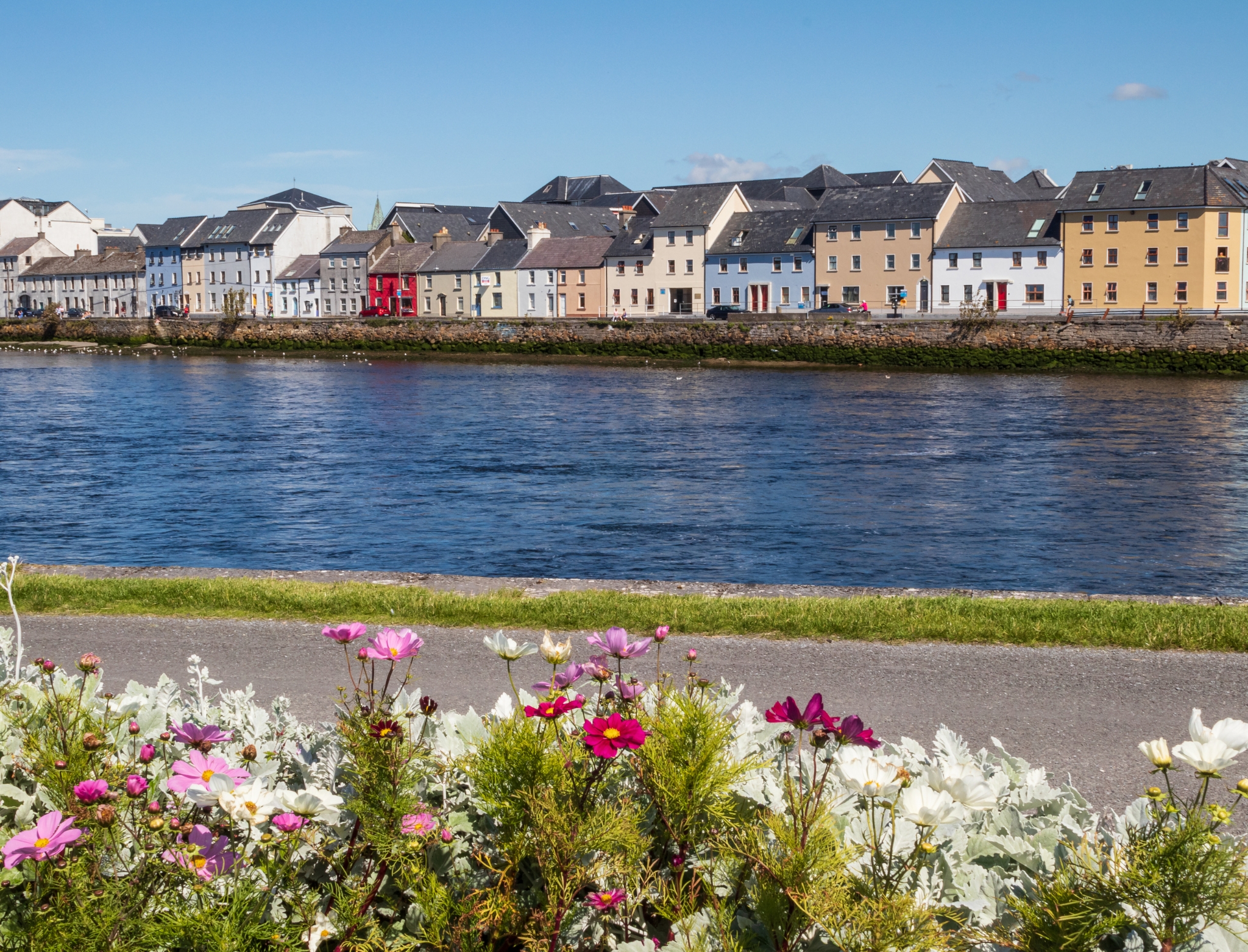 The Long Walk in Galway, Ireland, viewed across the River Corrib with blooming flowers in the foreground under a clear blue sky.